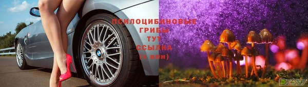 молекула духа Алексеевка