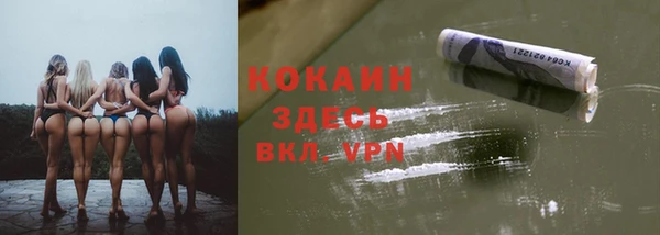 дживик Алексин