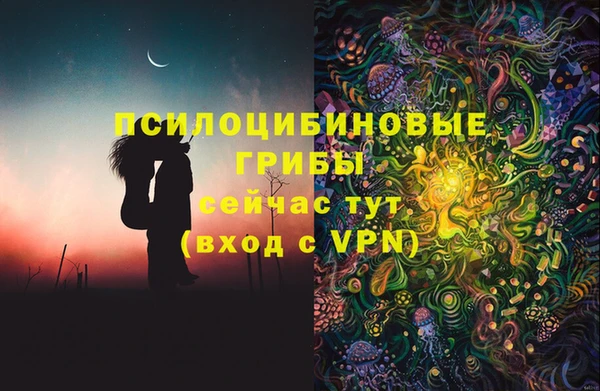 молекула духа Алексеевка