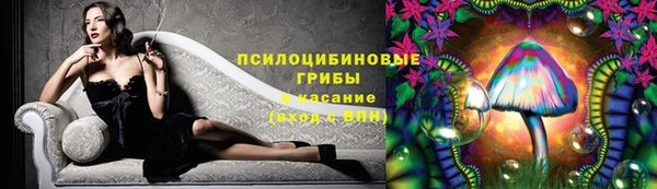 гашик Новосибирск